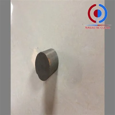 Nuolatiniai Alnico magnetai